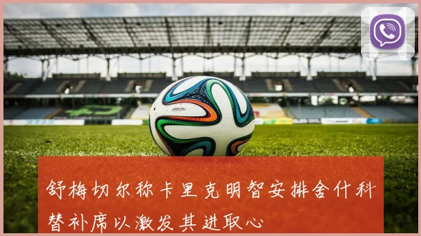 舒梅切尔称卡里克明智安排舍什科替补席以激发其进取心