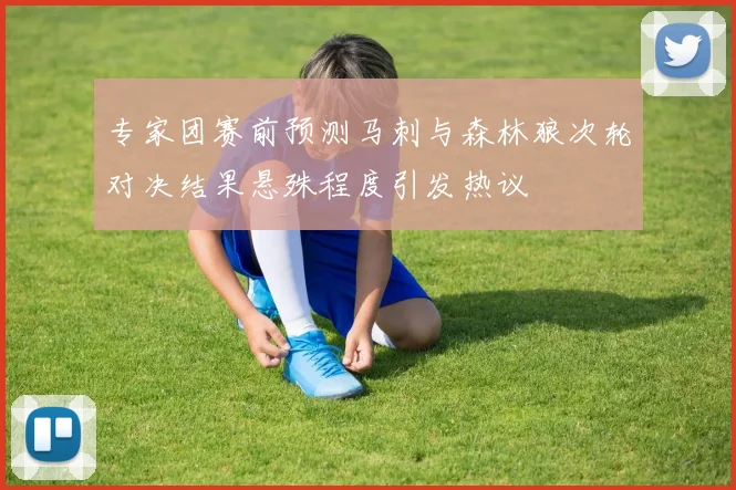 专家团赛前预测马刺与森林狼次轮对决结果悬殊程度引发热议