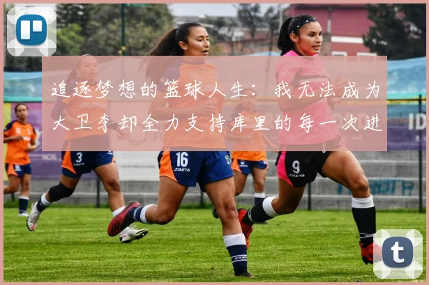 追逐梦想的篮球人生：我无法成为大卫李却全力支持库里的每一次进攻
