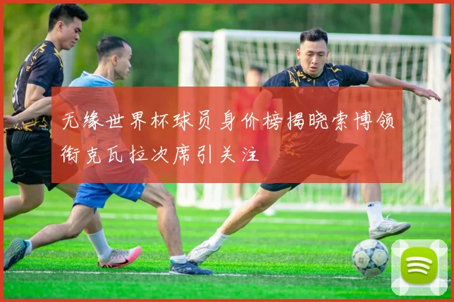 无缘世界杯球员身价榜揭晓索博领衔克瓦拉次席引关注